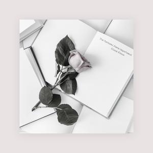 影音先锋天堂网
